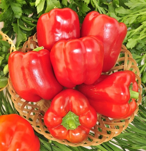 Сладкий гигант: перец чудо чудное красное для вашего огорода