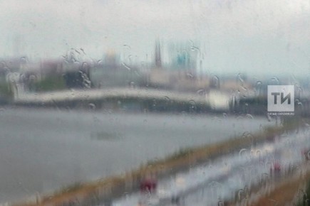 ������ � ���������� 6 ������: �����, ���������� ����� � ��������� ������