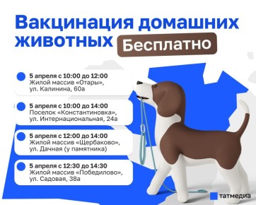 Бесплатная вакцинация домашних животных пройдет в Казани 5 апреля