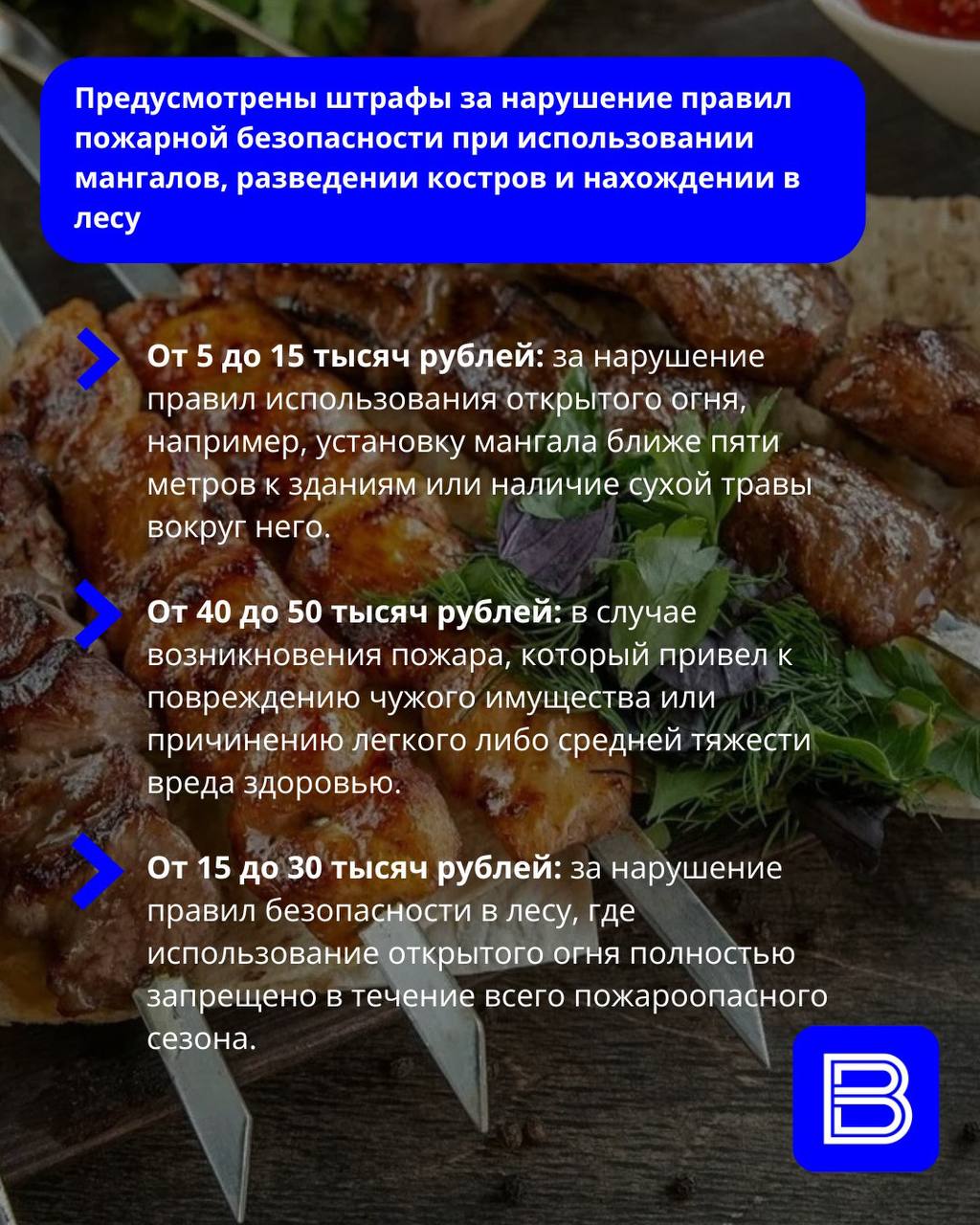 Татарстанцам напомнили, где разрешено жарить шашлык Татарстанцам напомнили, где разрешено жарить шашлык