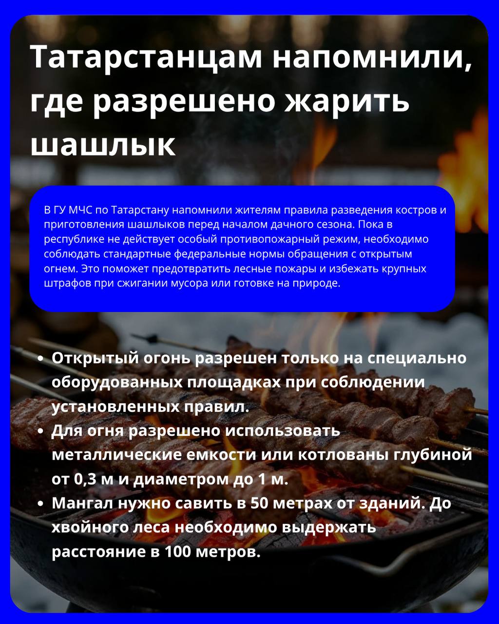 Татарстанцам напомнили, где разрешено жарить шашлык