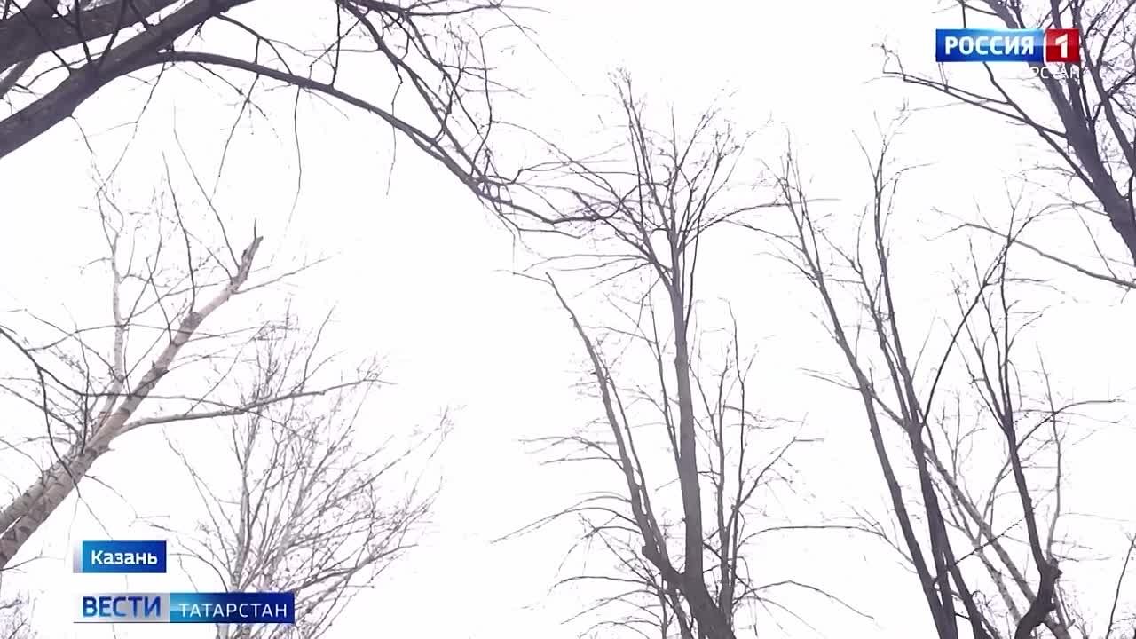 В Казани экстрасенс проверила сад «Эрмитаж» и парк «Сосновая роща» на наличие призраков