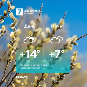 ������ �����������