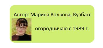 �������: ��� ������ ������ ����� ����� ����� ���������