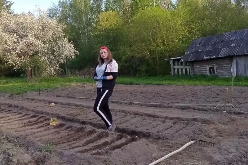 Когда и при какой температуре сажать овощи: это важно знать