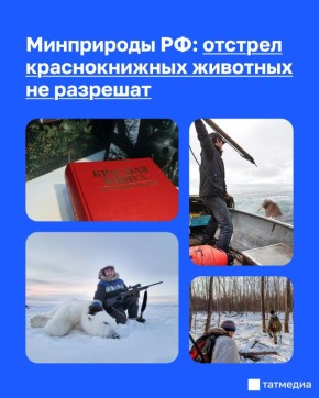 ���������� �� ���������� ���������� � ���������� �������� ������������� ��������