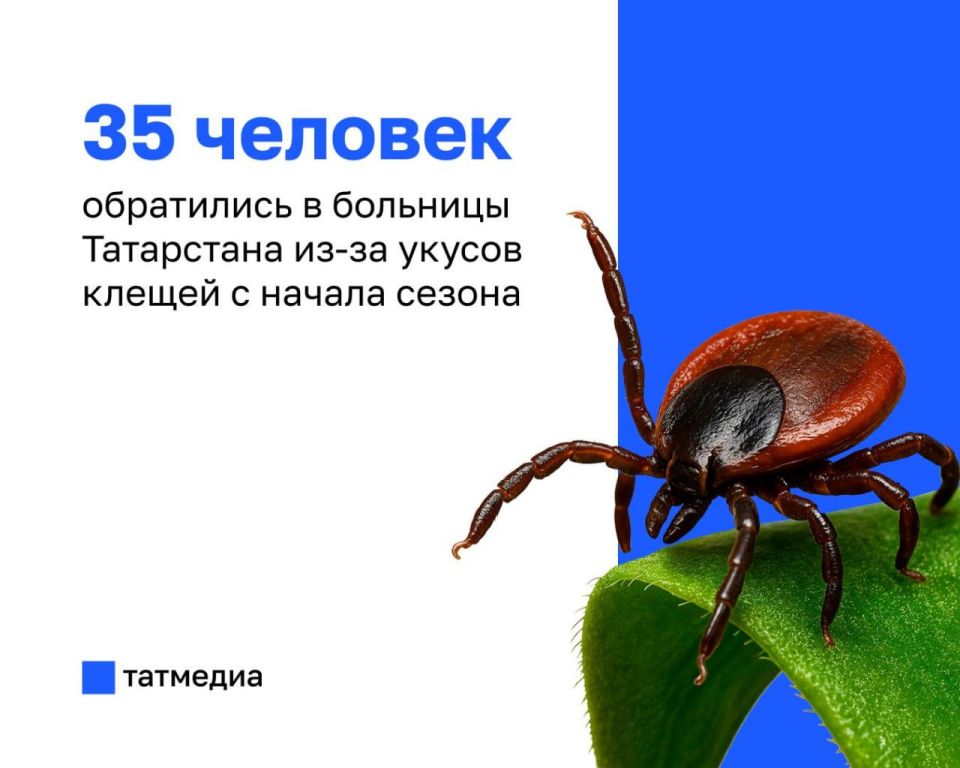 � ���������� 35 ������� ���������� � ������ ����� ������ ������