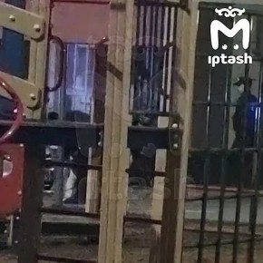 ����� � ������� �� ��������� ���� ����