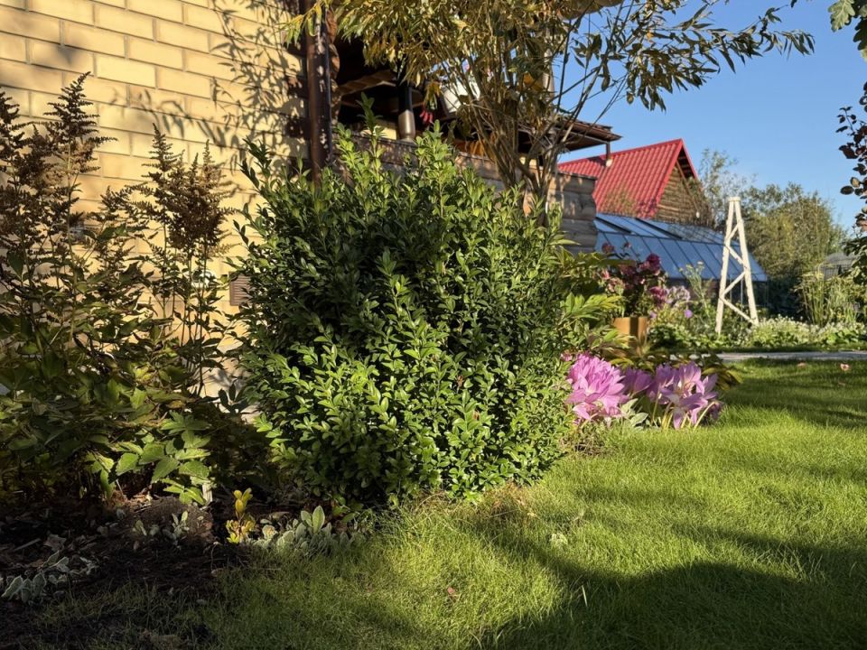 ����������� ����������� �������: �� ���� �� ����