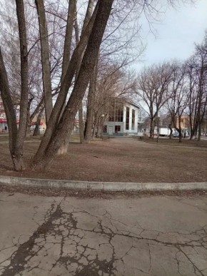 В парке за ТЦ «Дан» стало чисто