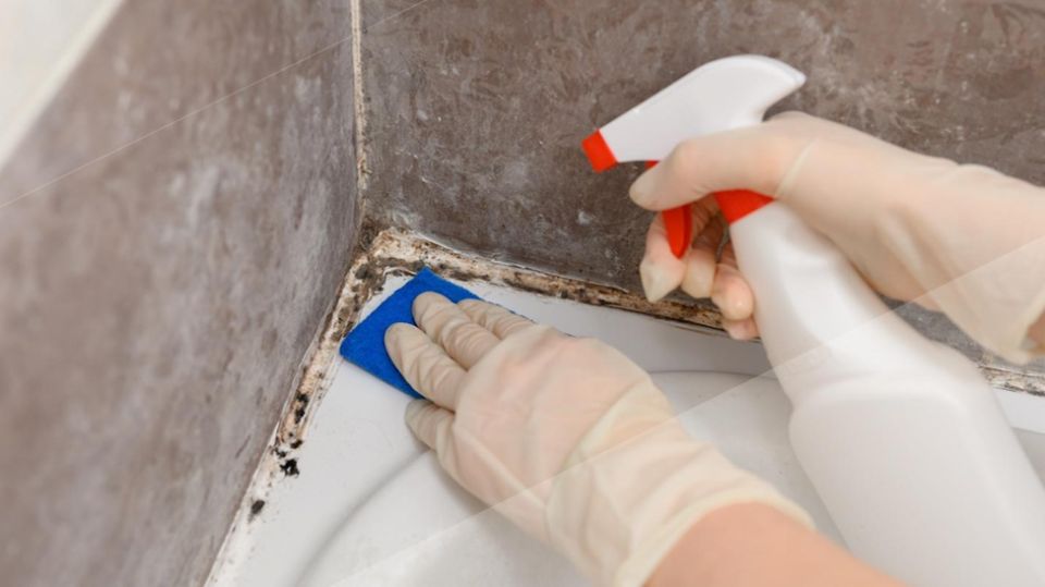 ������� � ������: ��� � ��� ���������� ����������?