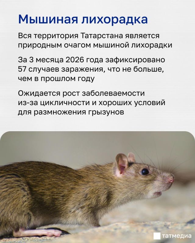 � �� ���-��� �������� ��������� ���������� �� ������ � ��������