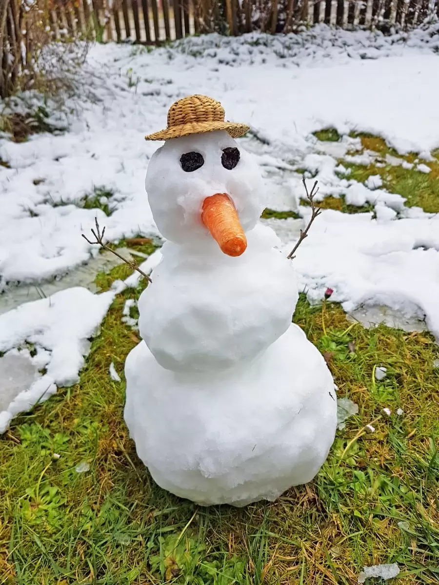 Интересные новинки с Огород.ру: полезные советы для садоводов