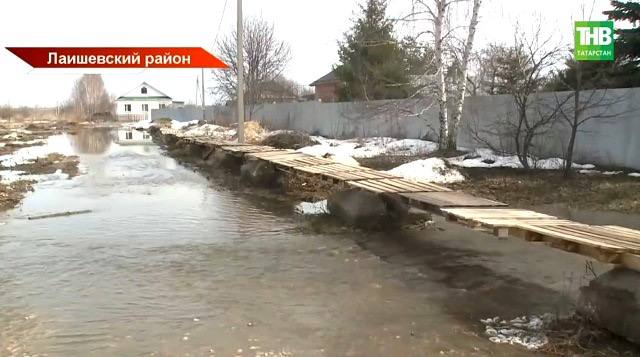 «Астраханская Венеция»: деревню отрезало водой — дети не могут попасть в школу