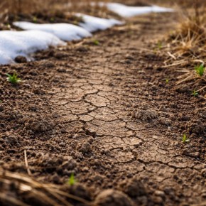 ������ ������ ����� ������ �����, �� �������� ������