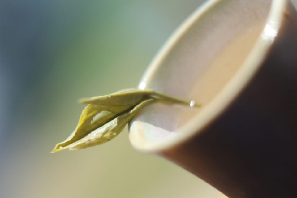 ��� ��� �����: ��� ��������� ������� � l-������� �������� ������ ��������� �����������