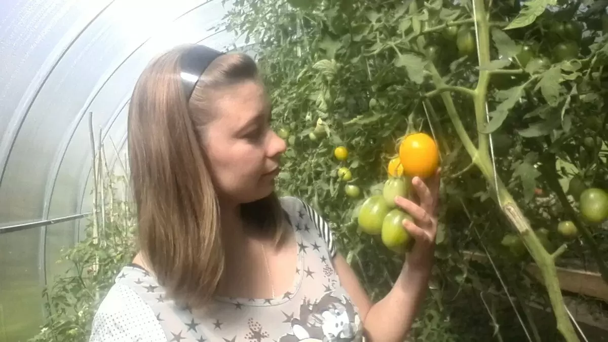 Советы по снижению температуры в поликарбонатной теплице