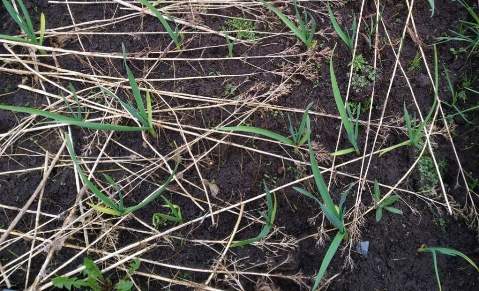 ������ ������ ������ ����� ����� �������� � �������