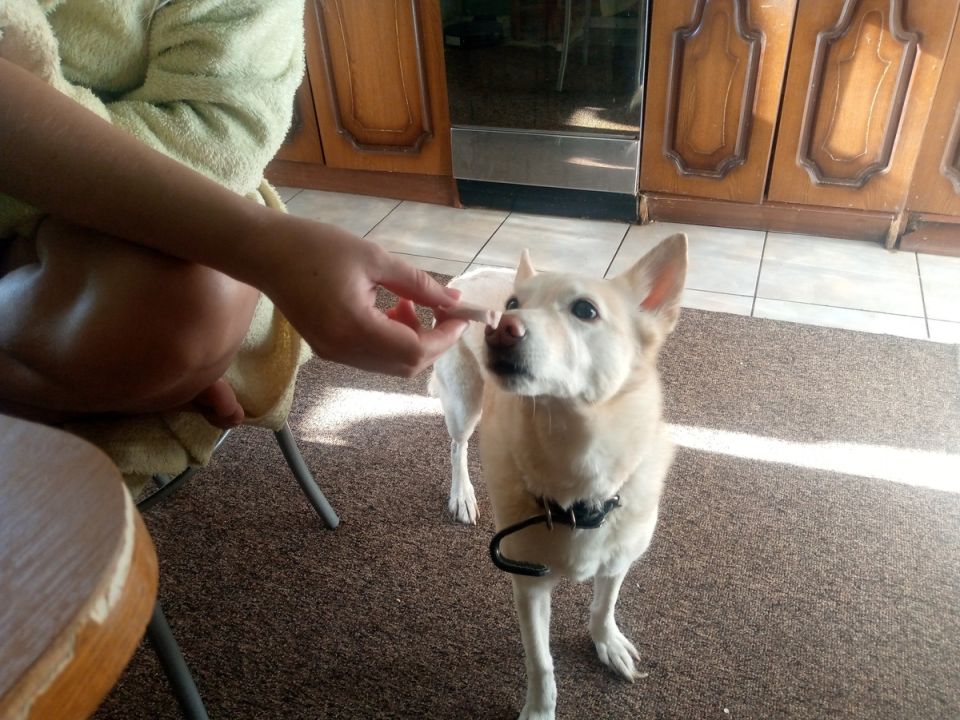 ��� �������� ��� ������� ������: ����������� ������ ������