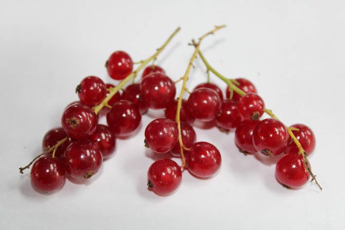 ����� �����: ���������� � ����� ������������ ��������