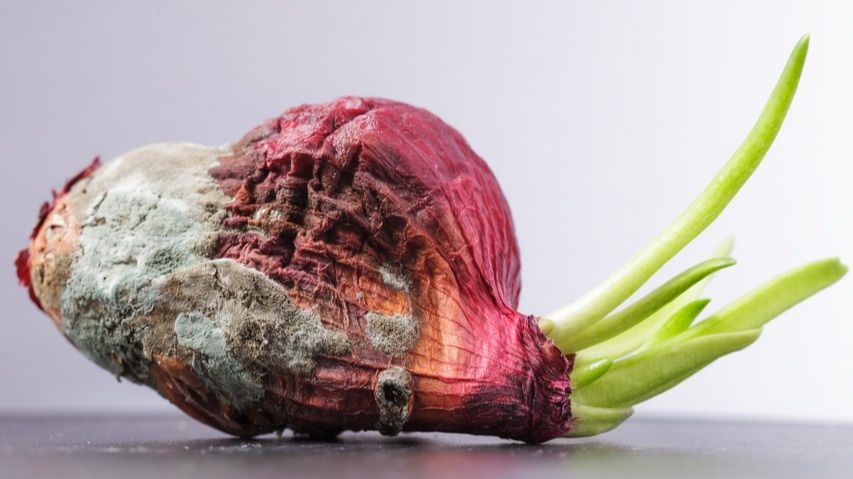 ���������� ��������� ����: ������ �� ���������