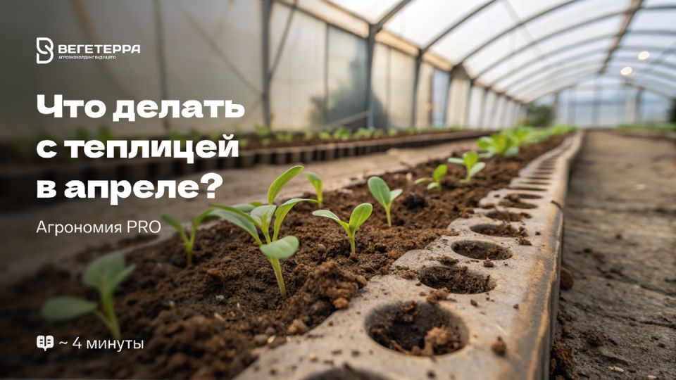 ���������� ������� � ������: �������� ���� ��� ��������� ������