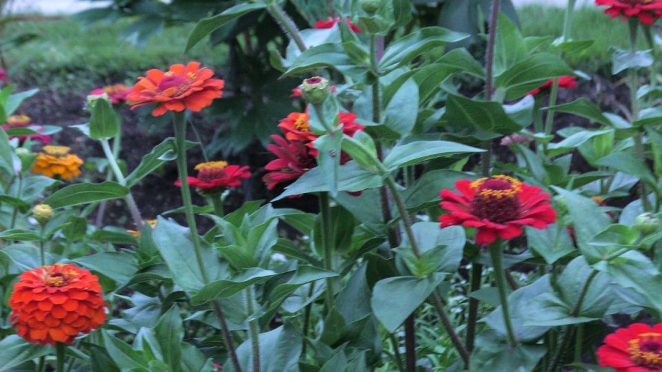 ������ �� ������� ���������� ������