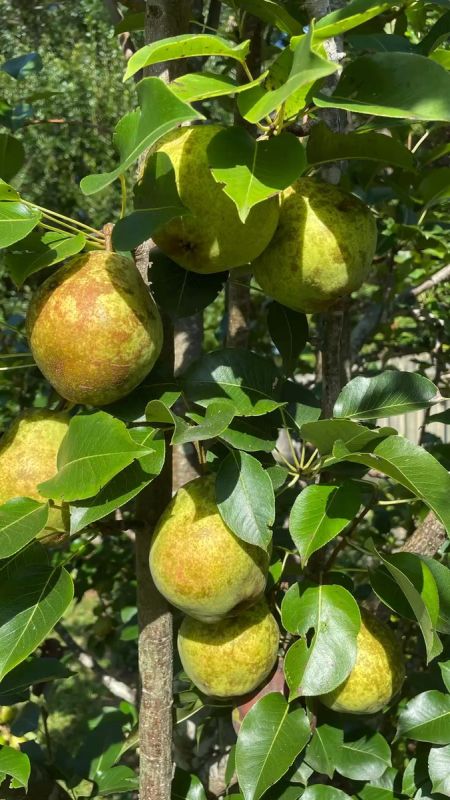 ��� �������� ������� ���������� ����� � ���������� ������