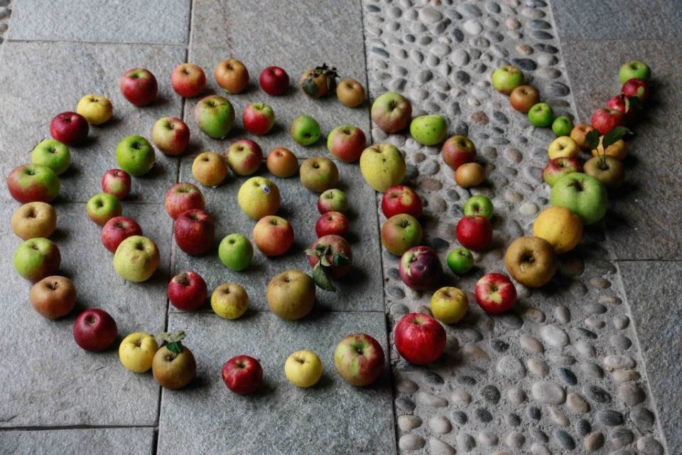 ������� ��������� ���: ��� ����������� ������ � ���������