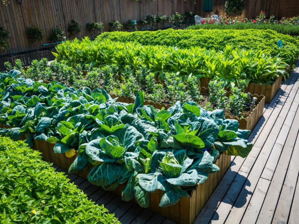 ���: ��������� �������� ��� ����� ��������