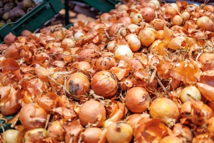 На Южном Урале задержали 165 тонн немаркированных овощей и фруктов