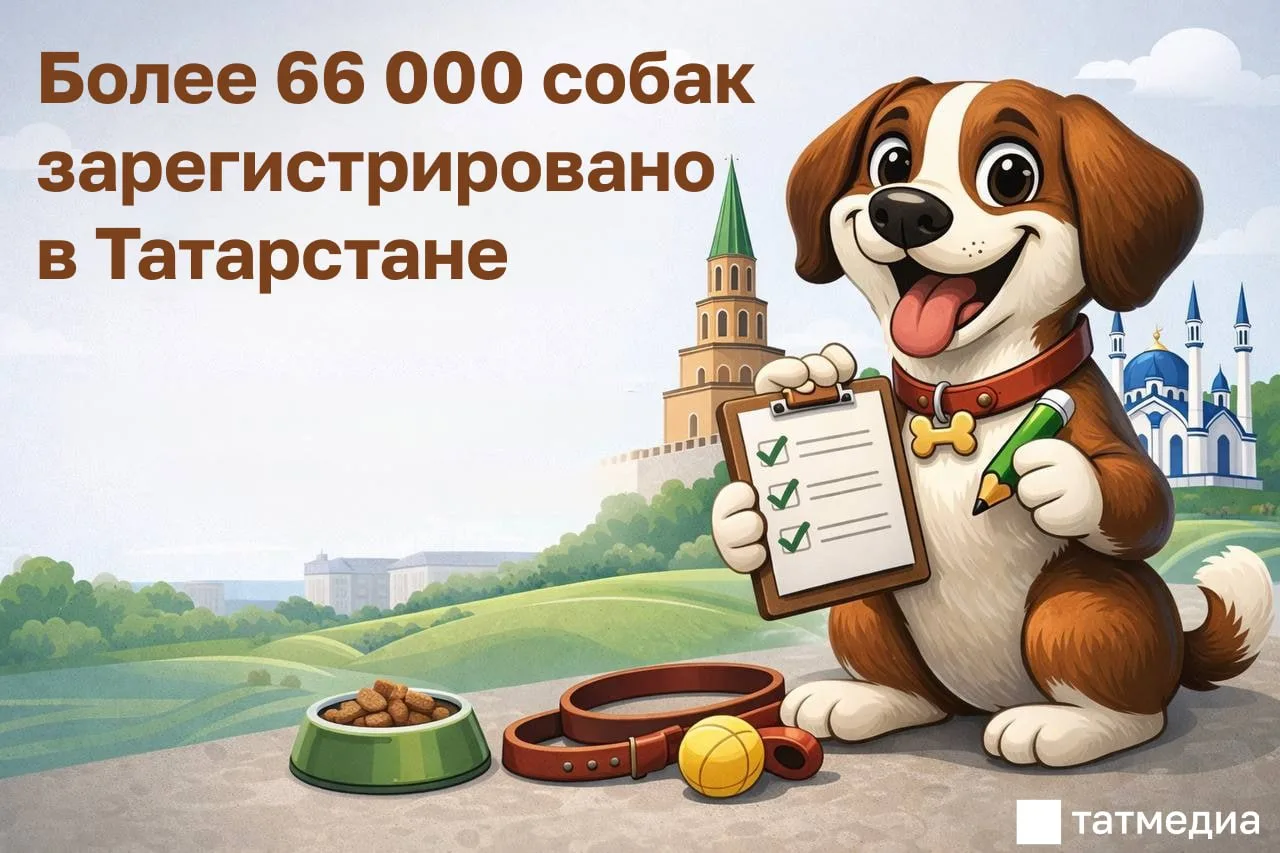В Татарстане зарегистрировано более 66 тысяч собак