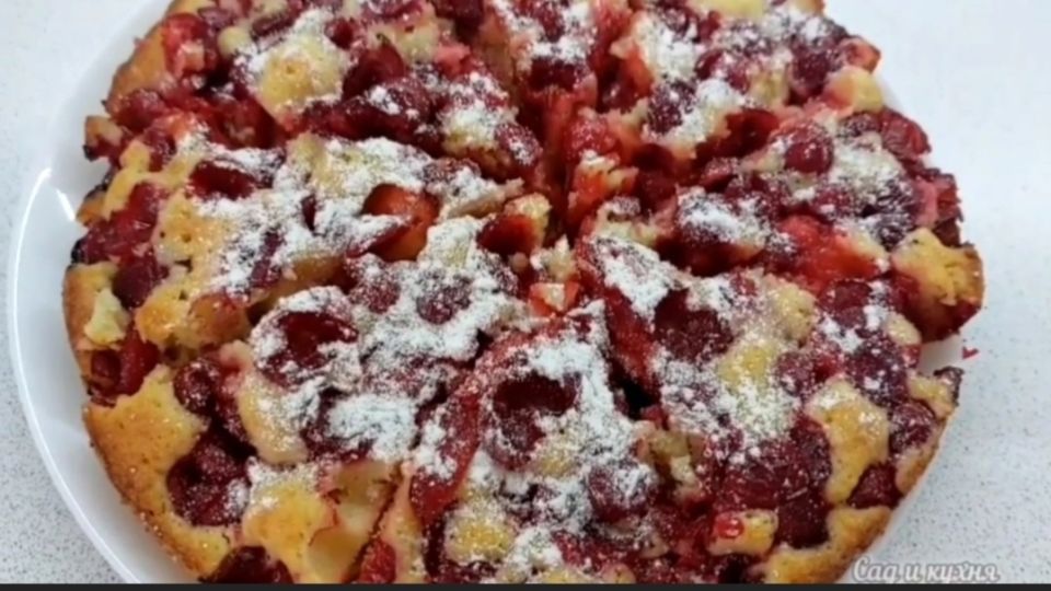 ������ �������� �����: ������ � �������������