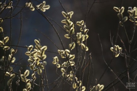 ������ � ���������� 15 ������: ����� �����, ���� ��� ������� � �� +16 �C