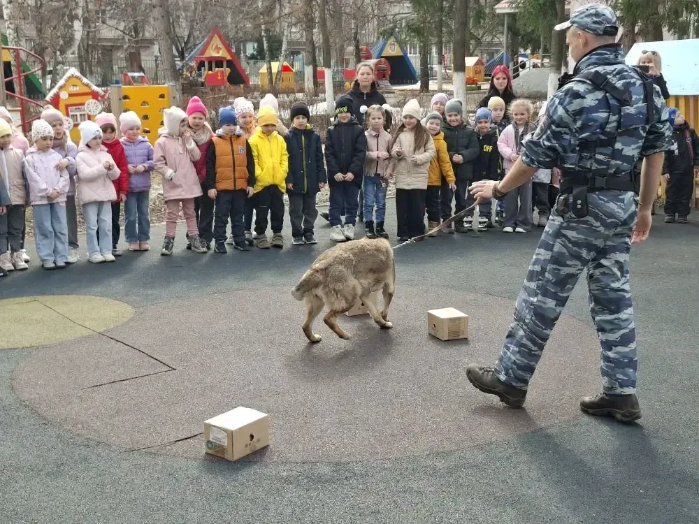 Кинолог отдела МВД России по Бугульминскому району совместно с представителем Общественного совета проводят профилактические беседы в детских садах на тему безопасности и правил поведения при встрече с бродячими собаками