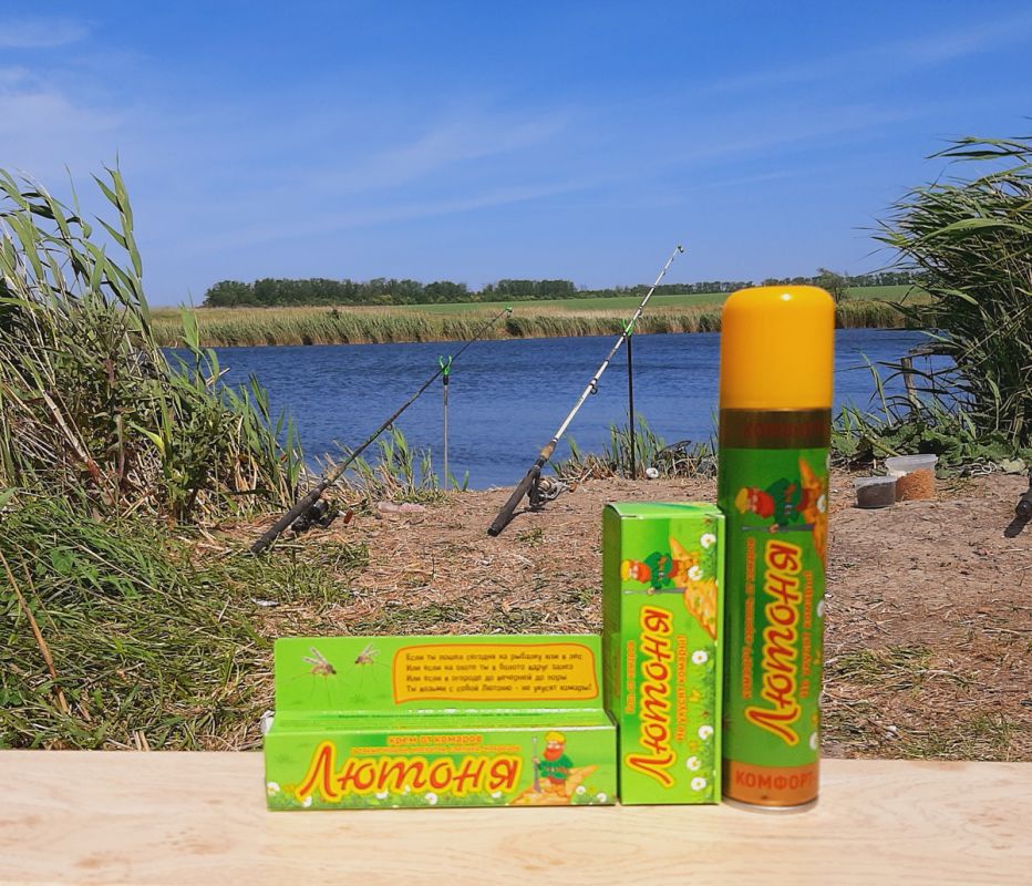 ������ ������� ��� �������: ��� �������� ������� �� ���������� ���������