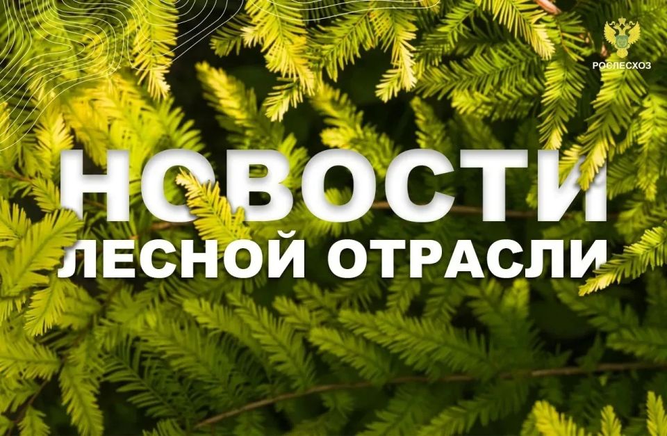 ���������: ������ ����������� �������� � ������������ �����������