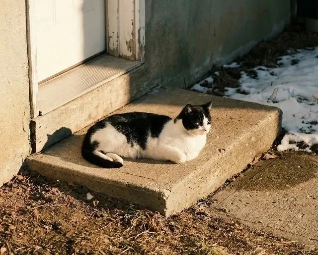 Похолодание до -3 градусов: что ждёт Татарстан на завтра?