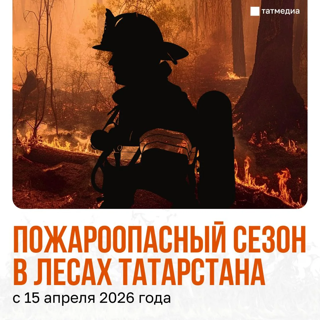Минлесхоз РТ объявил о начале пожароопасного сезона в лесах