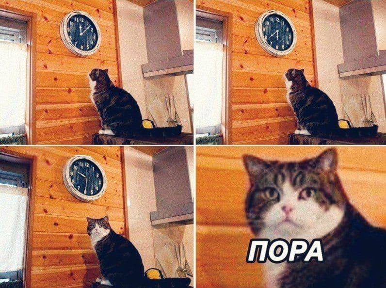 � ��������� ���������� ���������� �������� ���������� � �������� ����� �� 2 ���� ������