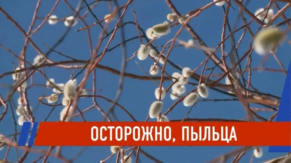 ����� ������� �������������� ����: ����� ������ ��������� ������