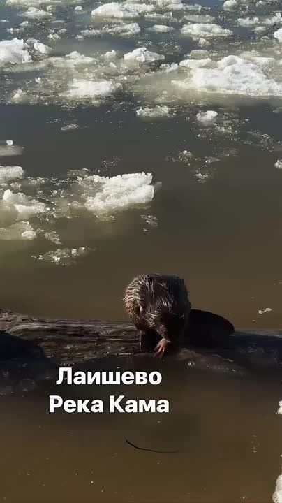 "���� �� ����: �������� � ������ �����!"