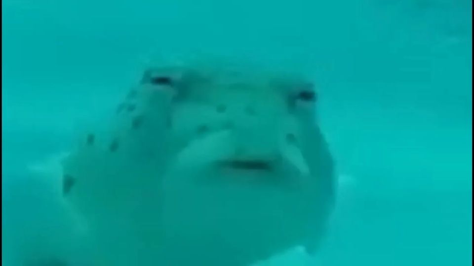 ������ ���������� ���� ����� ����� ������ ����, ��� �������������