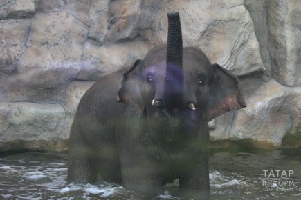 ������ ����, ������! ������� 16 ������