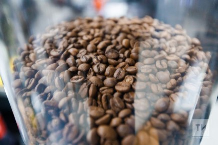 ������ ����, ������! ������� 17 ������