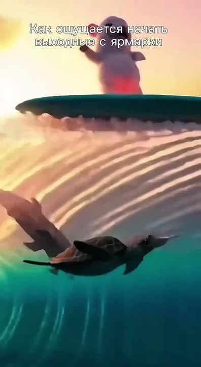 �����, ��������, �������������� � ��� ��� �������