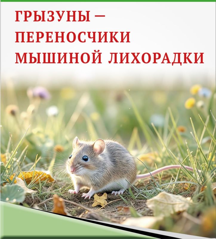 ������� � ����������� ������� ���������