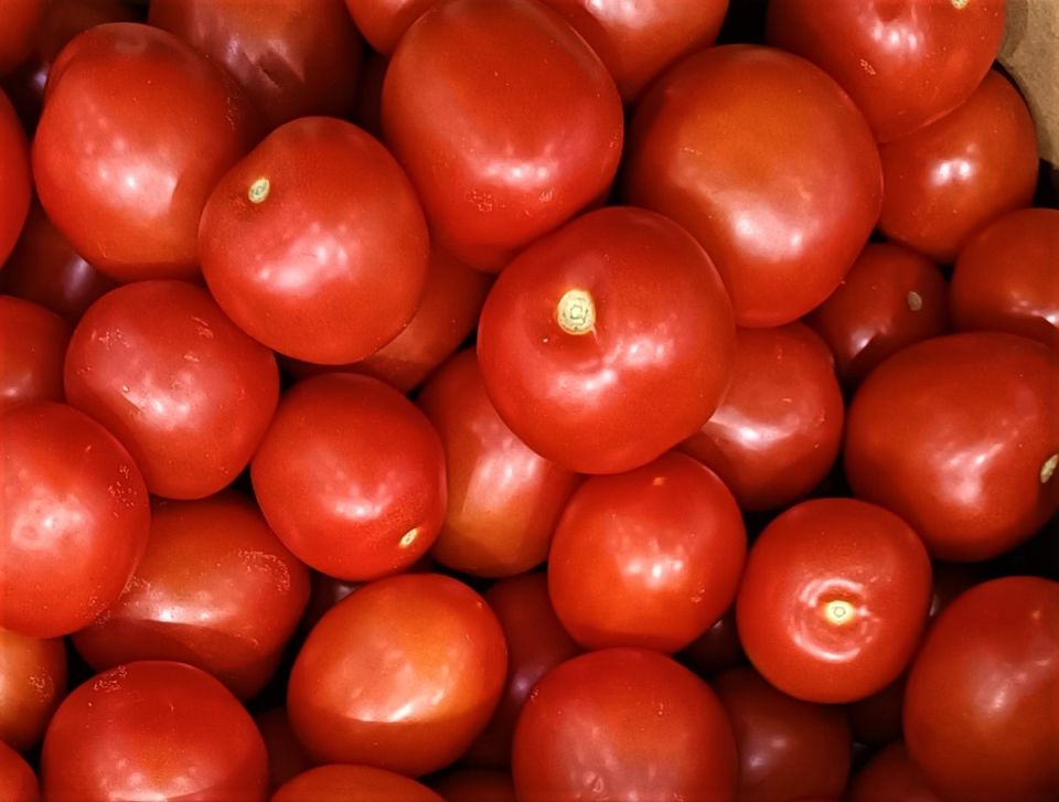 ������ ������ �� ��������� ������ ����� ���� ������� ���������