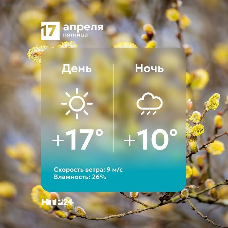 ������ ���������