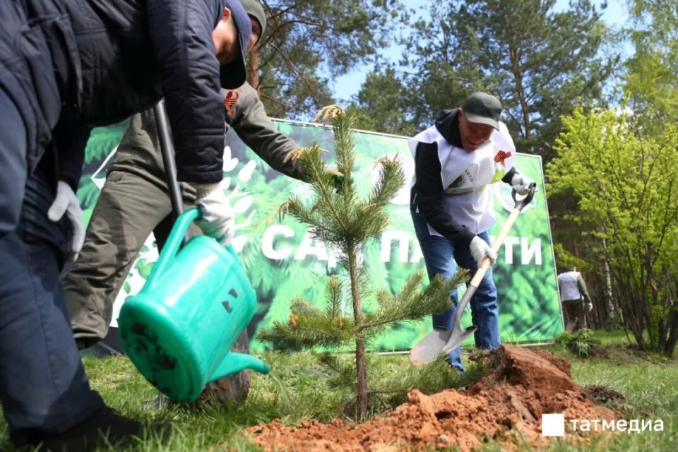 � ���������� � 25 ������ �������� ����� ���� ������